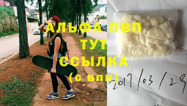 ГАЛЛЮЦИНОГЕННЫЕ ГРИБЫ Тихвин