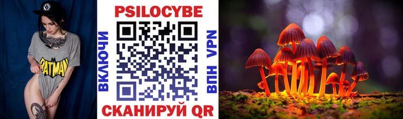 Галлюциногенные грибы Psilocybine cubensis  kraken как зайти  Череповец 