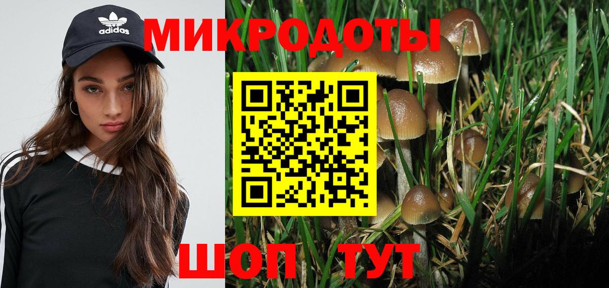 Псилоцибиновые грибы Psilocybe  Череповец  Галлюциногенные грибы Psilocybine cubensis 