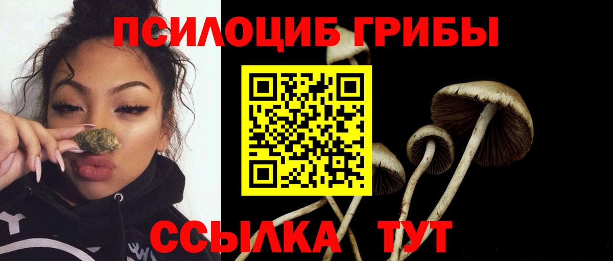 Галлюциногенные грибы ЛСД  наркошоп  Череповец  Вход с VPN  Псилоцибиновые грибы GOLDEN TEACHER 