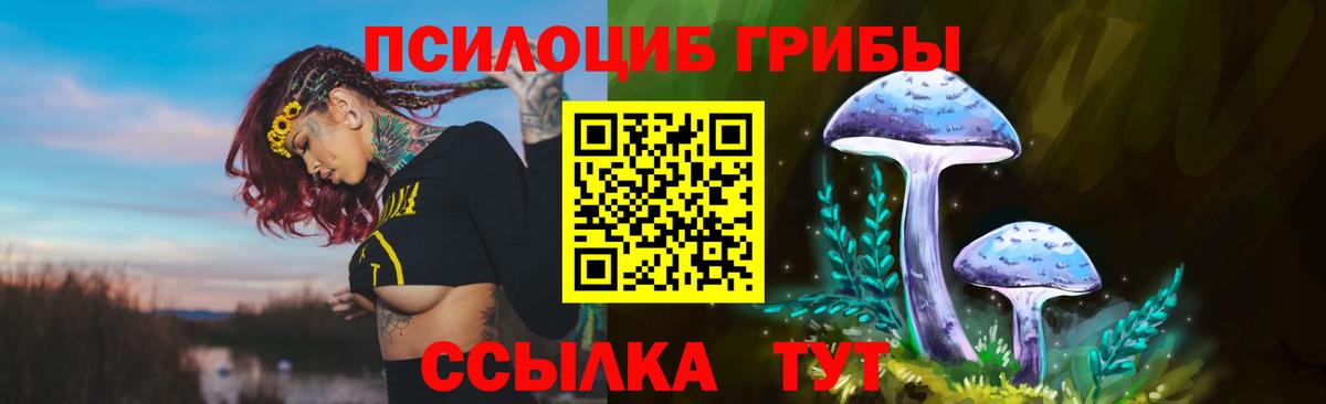 Псилоцибиновые грибы GOLDEN TEACHER Череповец